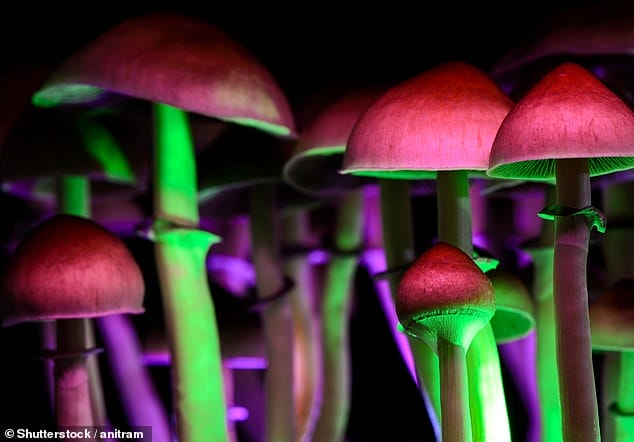 All You Need To Know About Using Magic Mushrooms