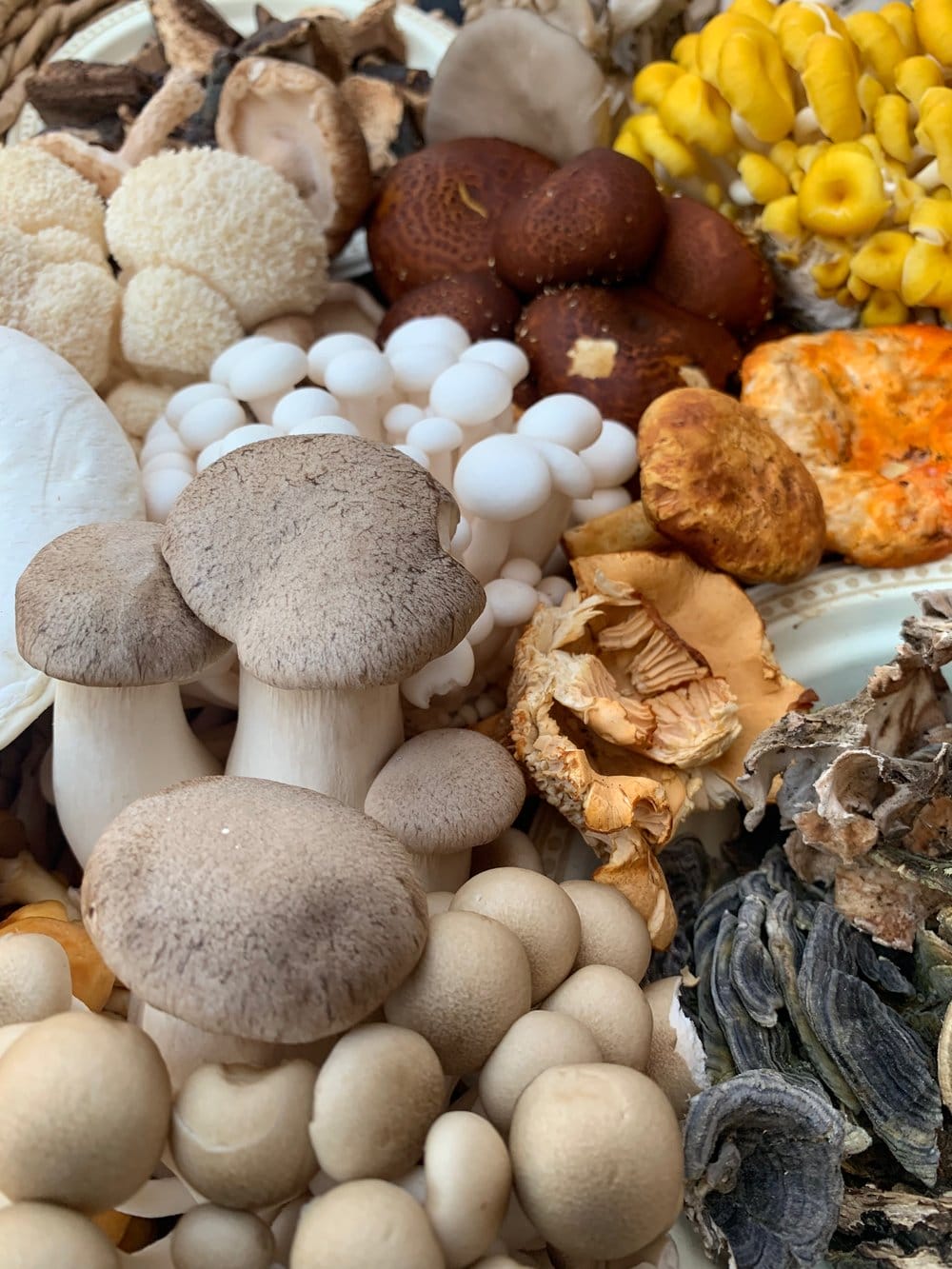 The Most Popular Magic Mushrooms