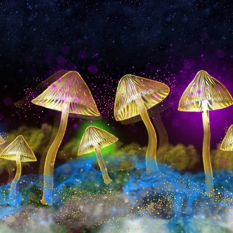 Glowing Magic Mushroom Banner