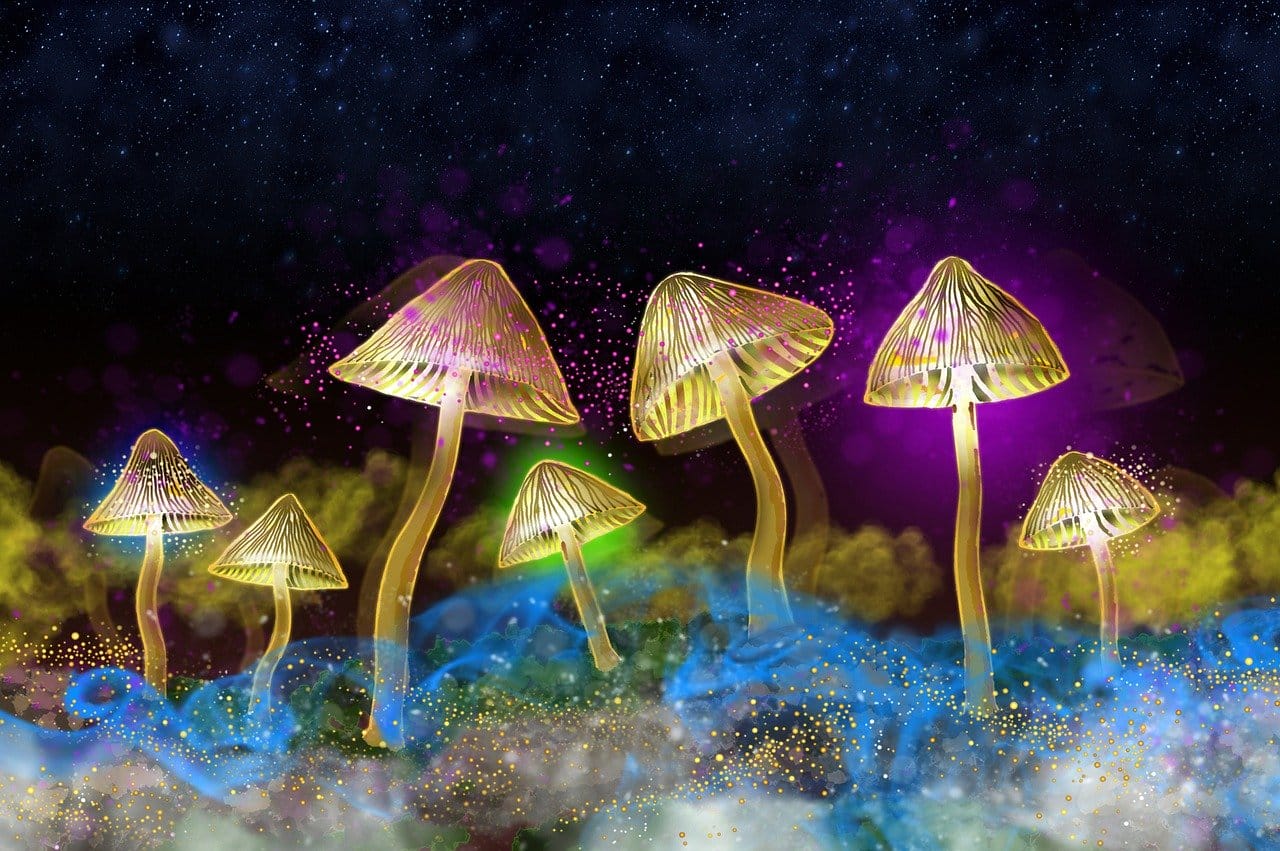 Are Magic Mushrooms Addictive?
