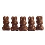 Alice - Chocolate Boost - Buy Edibles Online