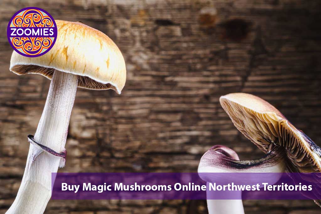 Buy Magic Mushrooms Online In Northwest Territories Canada