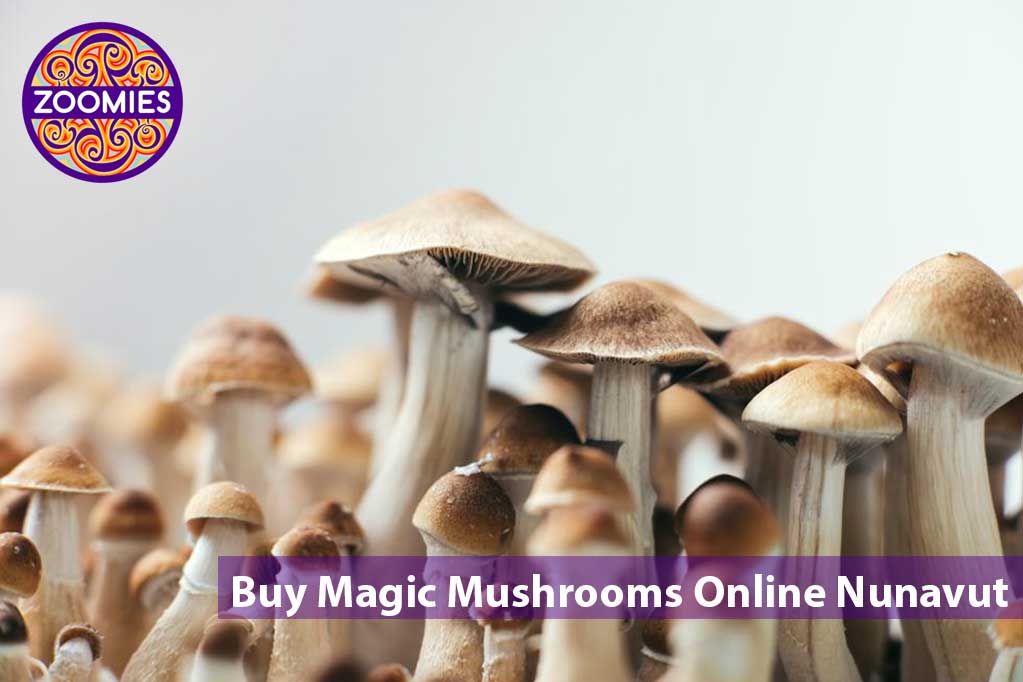 Buy Magic Mushrooms Online Nunavut