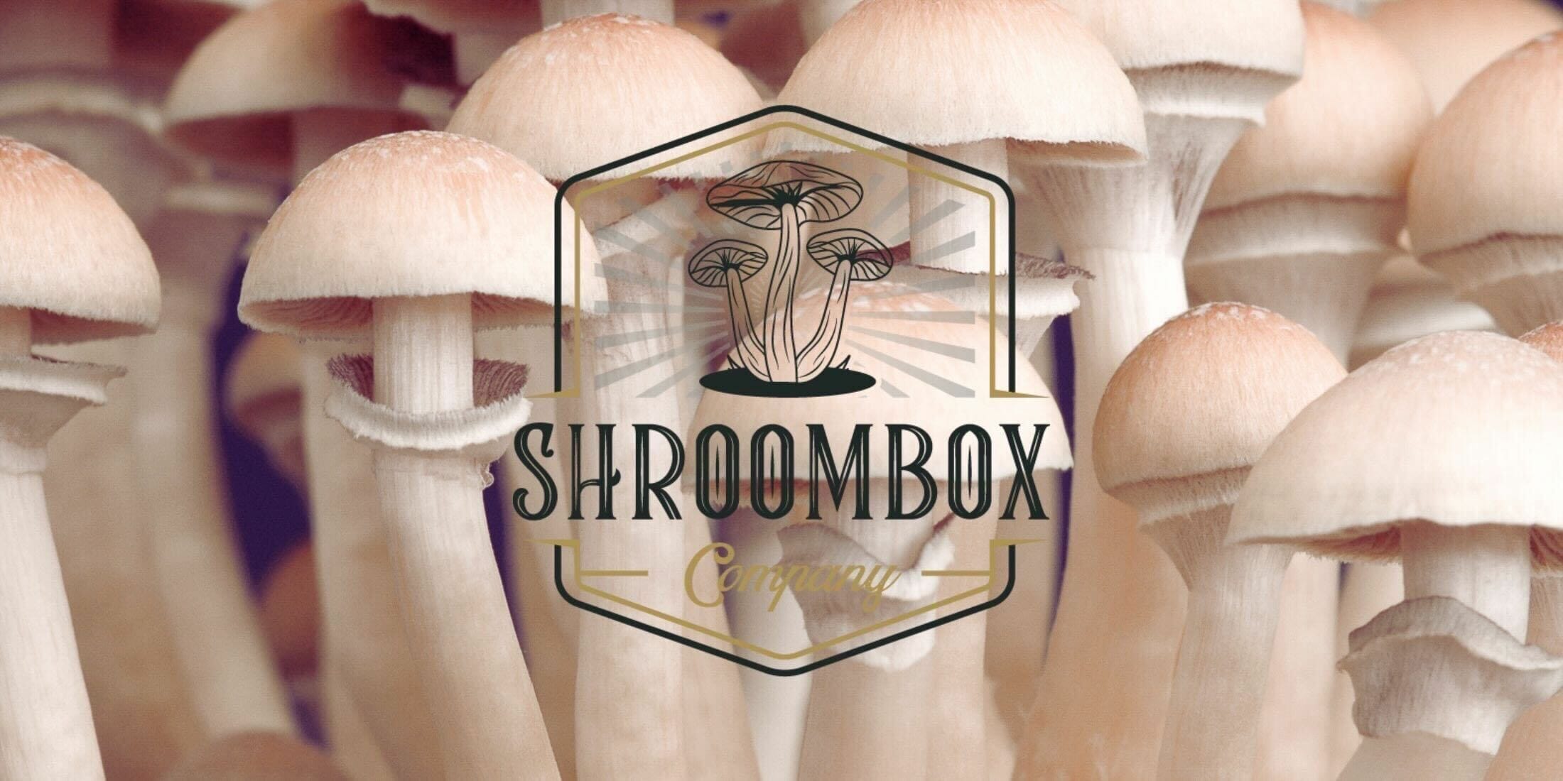 Shroom Box logo